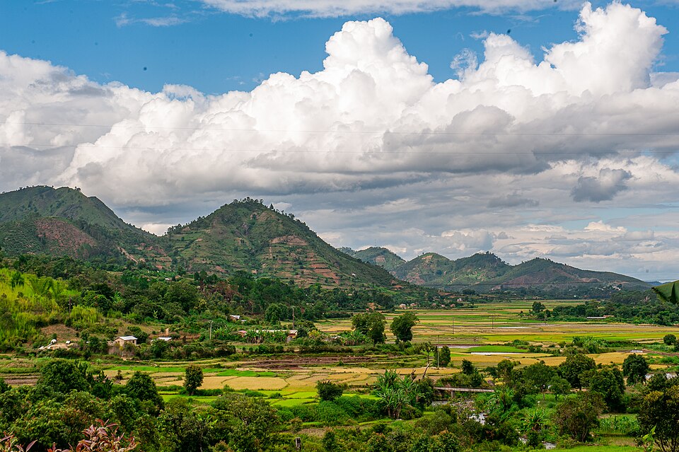 Vue aérienne d'une rizière dans la région d'Alaotra Mangoro, Madagascar.